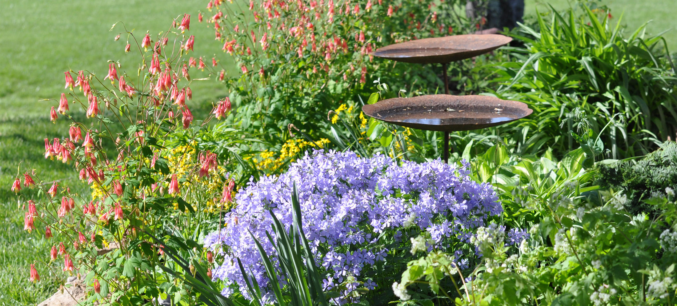 sweeten-up-your-backyard-with-these-native-nectar-plants-audubon