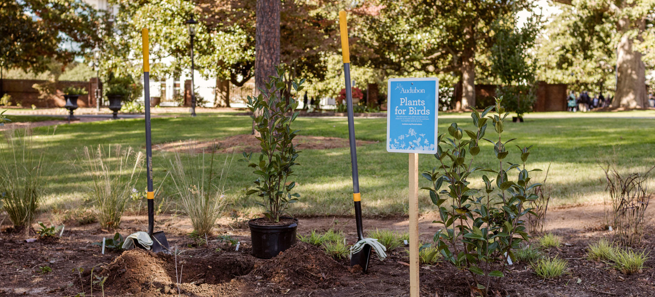 Audubon North Ina First Lady Kristin Cooper Build A Bird Audubon North Ina First Lady Kristin Cooper Build A Bird Friendly Garden At The Executive Mansion