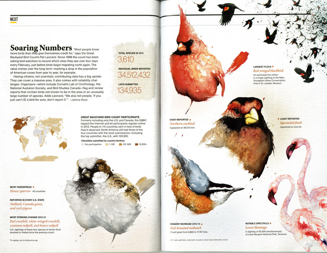 North Carolina is for the Birds During the Great Backyard Bird Count