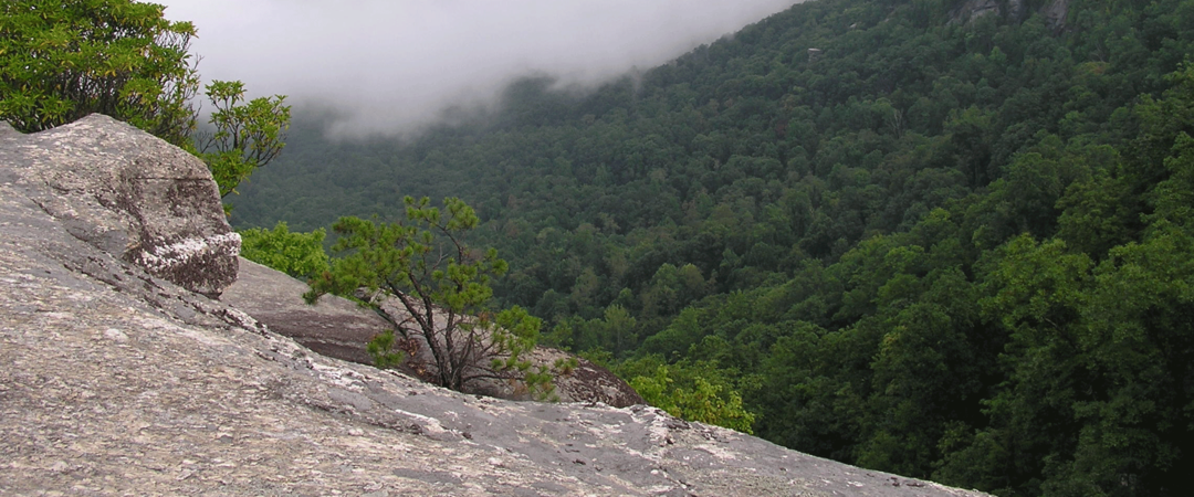 Important Bird Areas | Audubon North Carolina