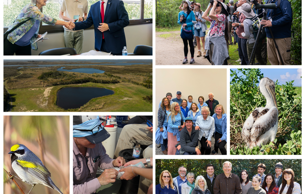 Top Wins for Birds in 2025 