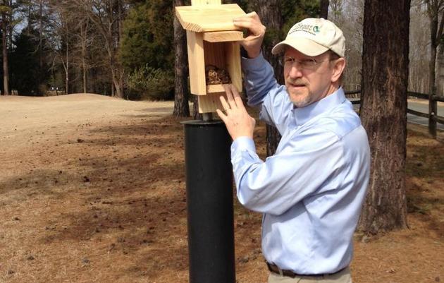 Installing Nuthatch Nest Boxes 101
