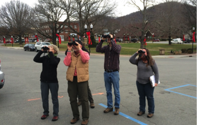 Christmas Bird Count Returns to Yancey County After 60 Years