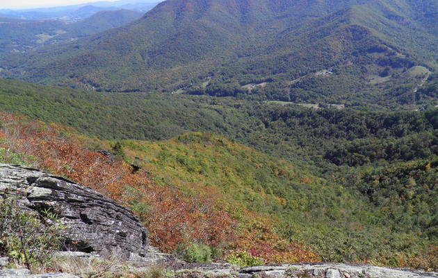Amphibolite Mountains IBA