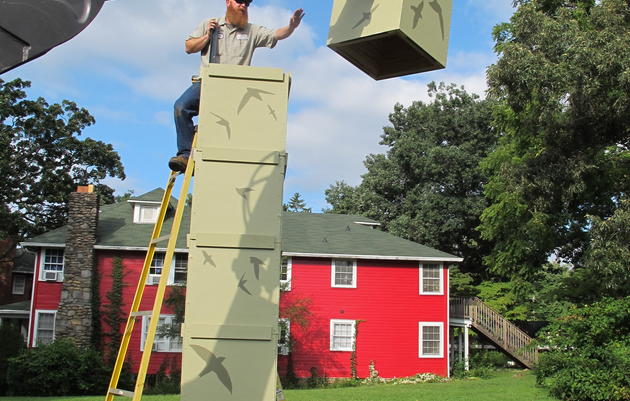Build Your Own Chimney Swift Tower