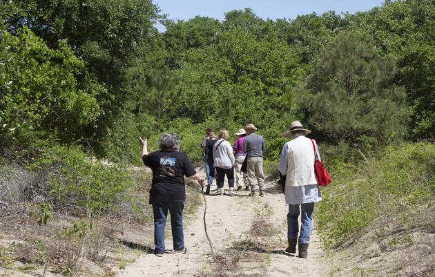 Join a free bird walk near you this spring