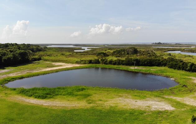 Inside Look: Restored Pond and Waterway at Audubon’s Pine Island Sanctuary