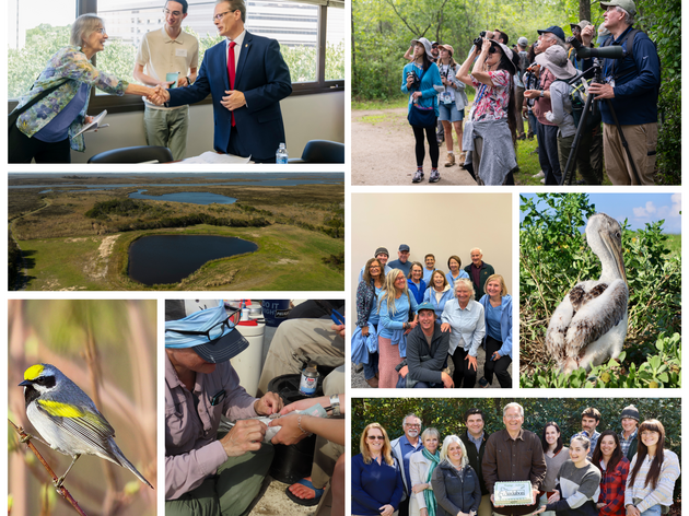 Top Wins for Birds in 2025 