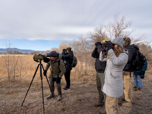 Audubon Invites Volunteers to Join the 124th Christmas Bird Count