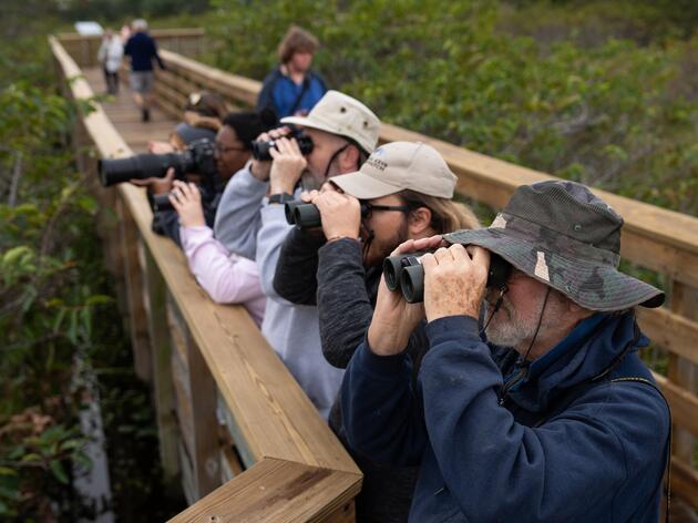 Audubon Invites Volunteers to Celebrate 125 Years of the Christmas Bird Count