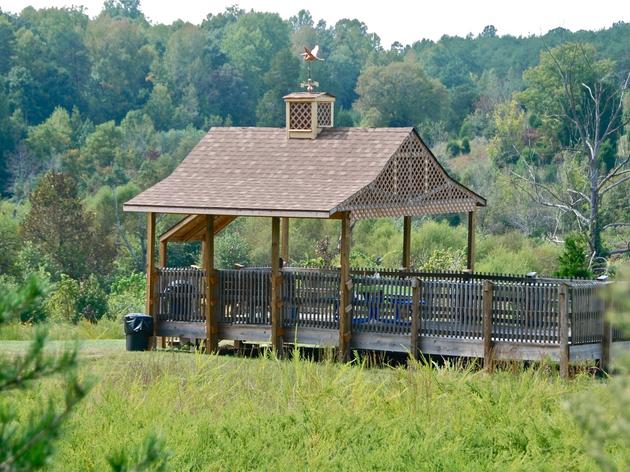 Chapter of the Month- The Audubon Wildlife Overlook