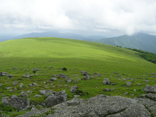 Southern Appalachian Highlands Conservancy reaches major milestone