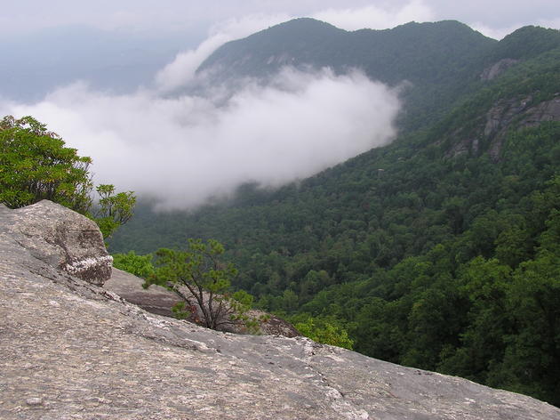 Expansion of Chimney Rock State Park great news for birds and wildlife