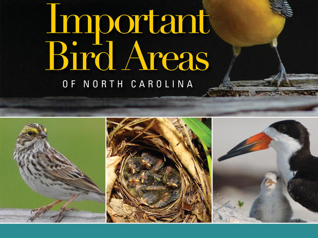 What are the most important places for birds in North Carolina? New publication provides answer