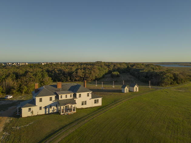 Pine Island Year in Review: Habitat and Infrastructure Upgrades Prepare Sanctuary for the Future 