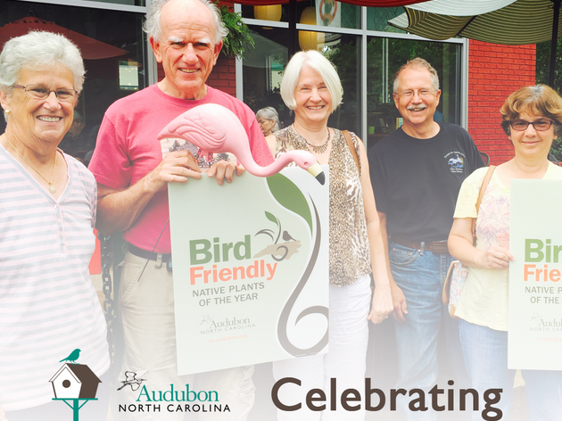 Celebrating Three Years of Bird-Friendly Communities