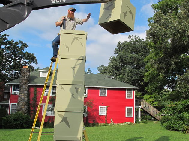 Build Your Own Chimney Swift Tower