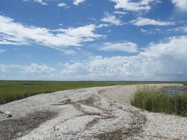 Coastal Threats