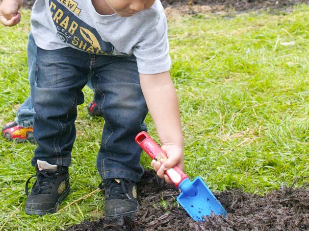 Media Resources- Bird-Friendly Planting Day