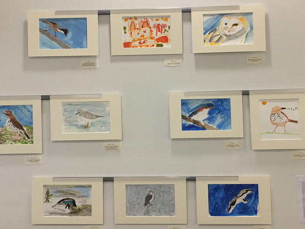 Host an Art Party for Bird Conservation in 8 Easy Steps