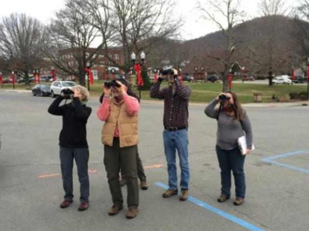 Black Mountain News: Audubon Christmas Bird Count underway for the 116th time