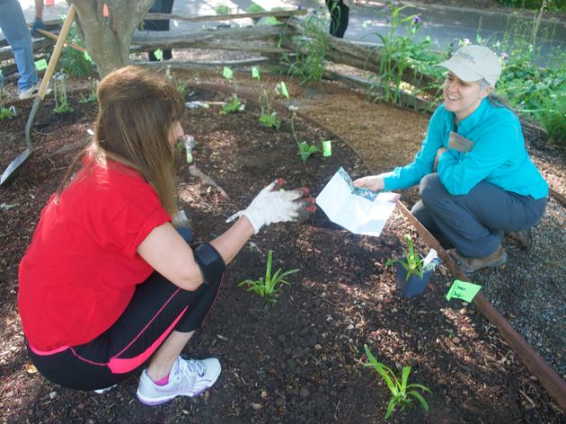 Community Partners Build a Bird-Friendly Exhibit Garden in the Heart of Charlotte