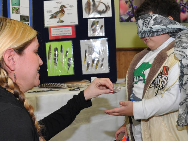 Local Students Discover the Wonders of Birds