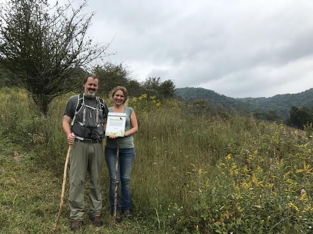 Restoring 200 Acres for Golden-winged Warblers 