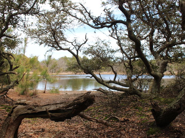 NC Forever: A Partnership to Conserve North Carolina’s Lands and Waters