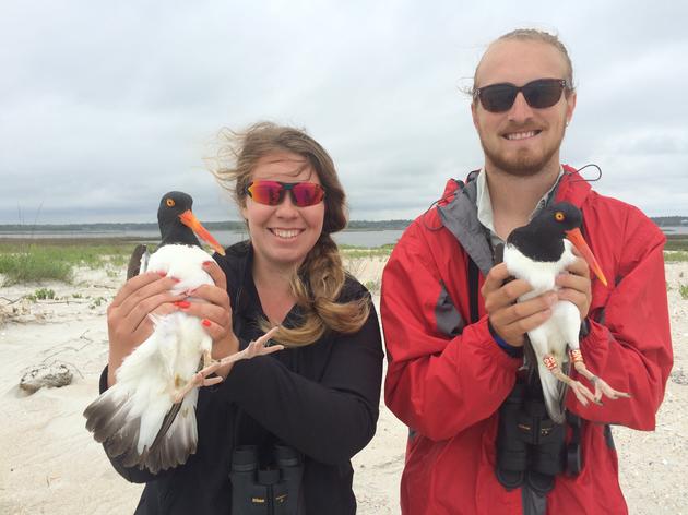 2017 Summer Biological Technicians