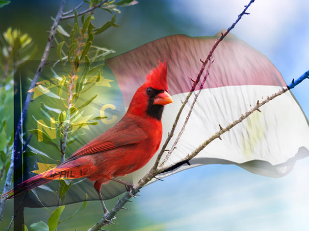 Audubon Flocks to the Capital