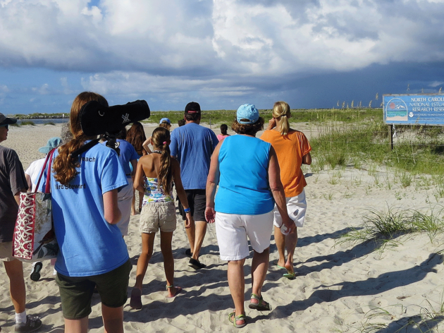 Beach Bird Stewards