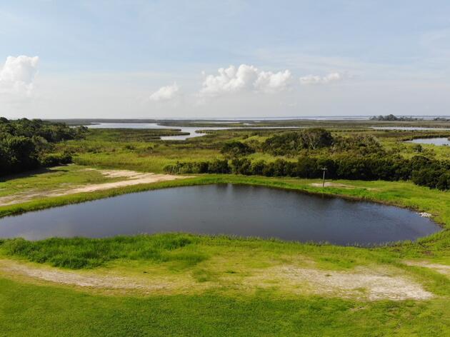 Inside Look: Restored Pond and Waterway at Audubon’s Pine Island Sanctuary