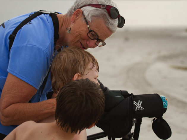 Why It’s Important to Share the Beach with Birds