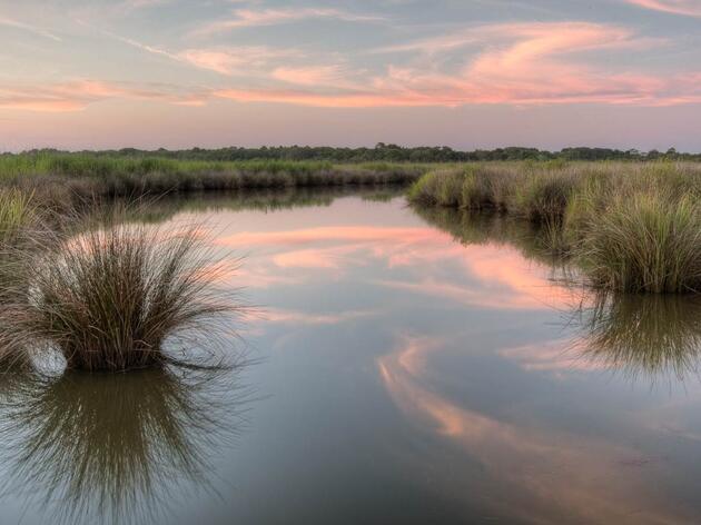 Audubon Launches Virtual Planning App for Currituck Marsh Restoration 