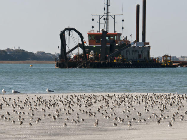 Coast Watch: Agencies Oppose Figure Eight Groin