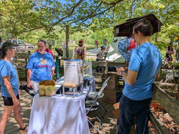 Calling all Birders: Help WNC Spring Back this Migration Season 