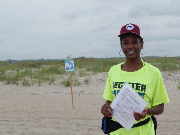 Discovering the Family Life of Coastal Birds