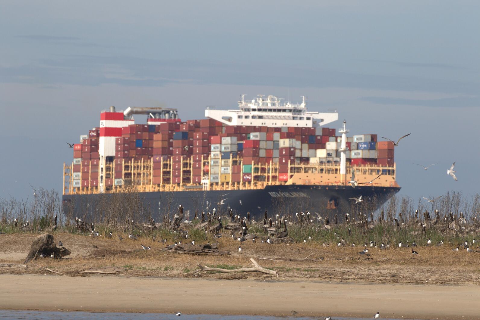 Container ship passing a bird nesting island on the Cape Fear River. Photo: Lindsay Addison/Audubon