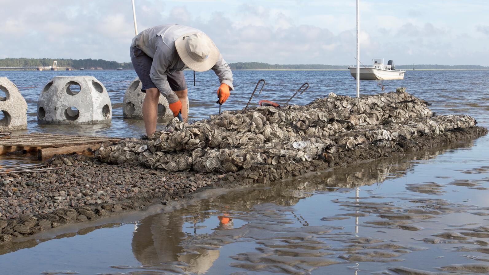 The new reef includes both reef balls, oyster shell bags, and sills.