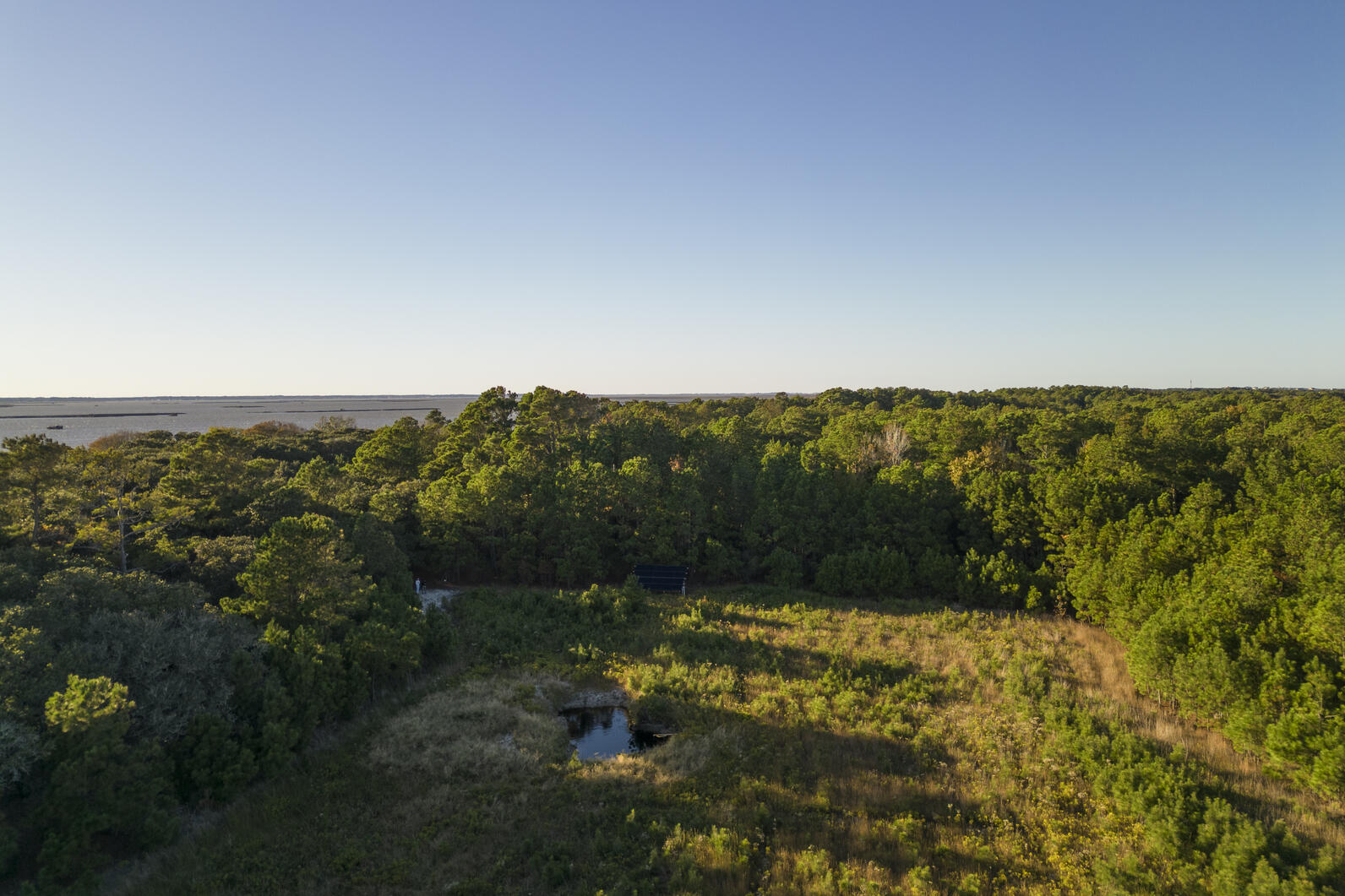 Current state of the Black Rail field. Photo: Sydney Walsh/Audubon