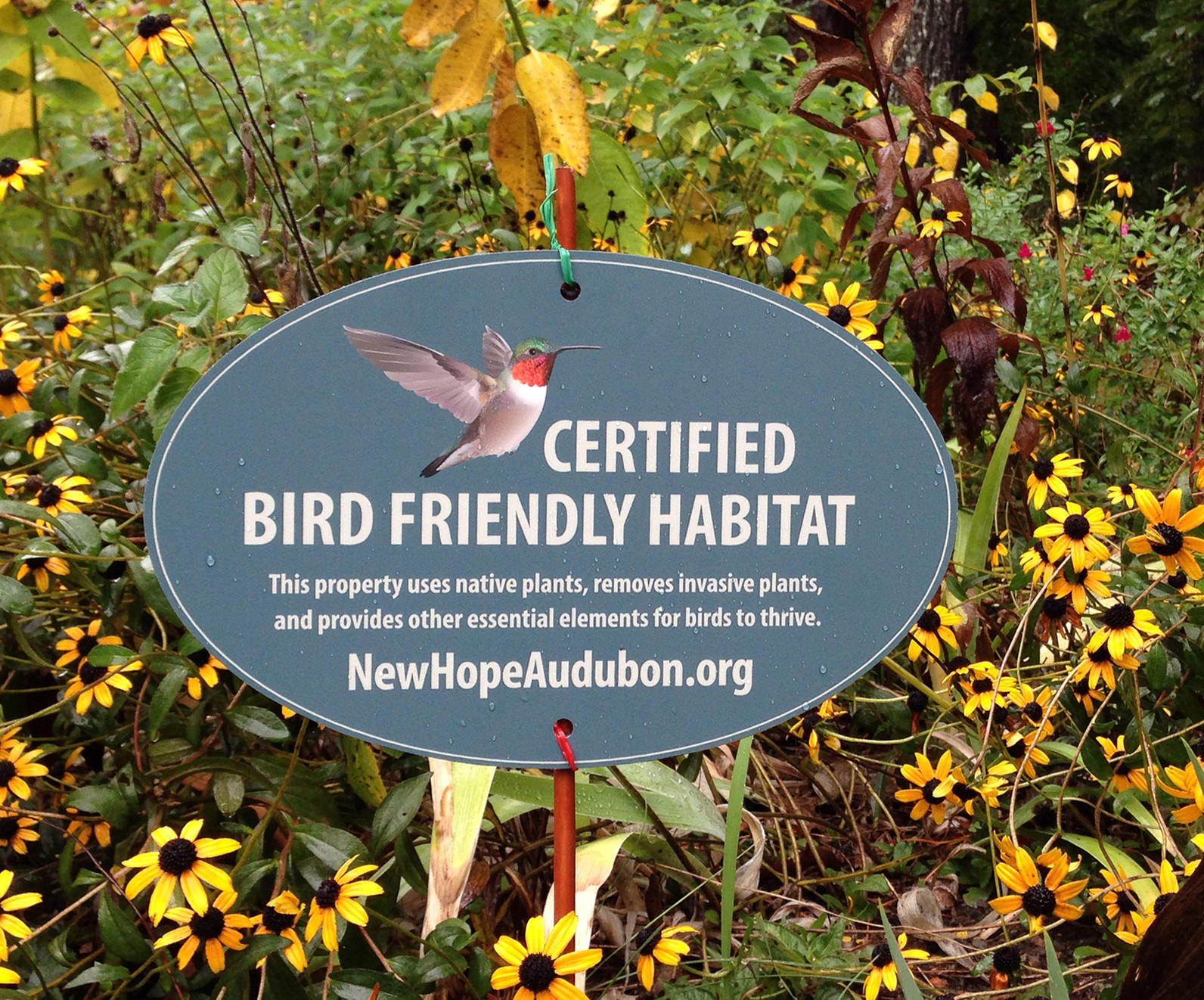 Certifying Your Yard or Garden as a Wildlife Habitat