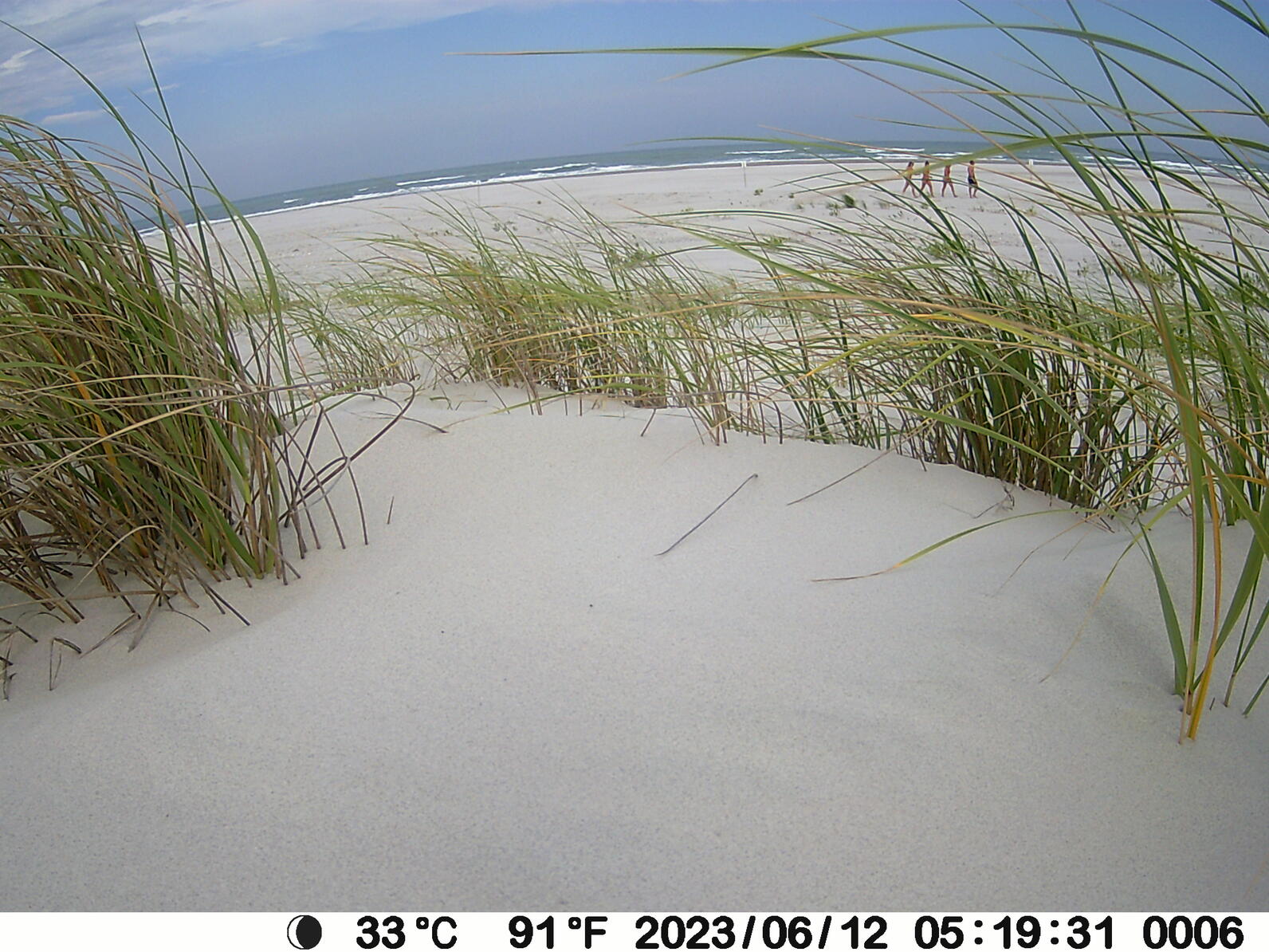 Empty nest with people walking in the background