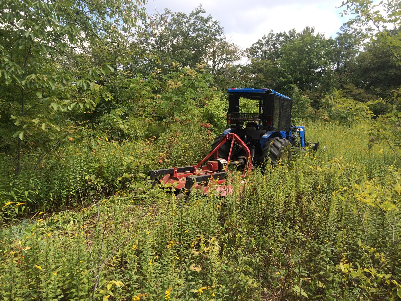 Landowner tree management.