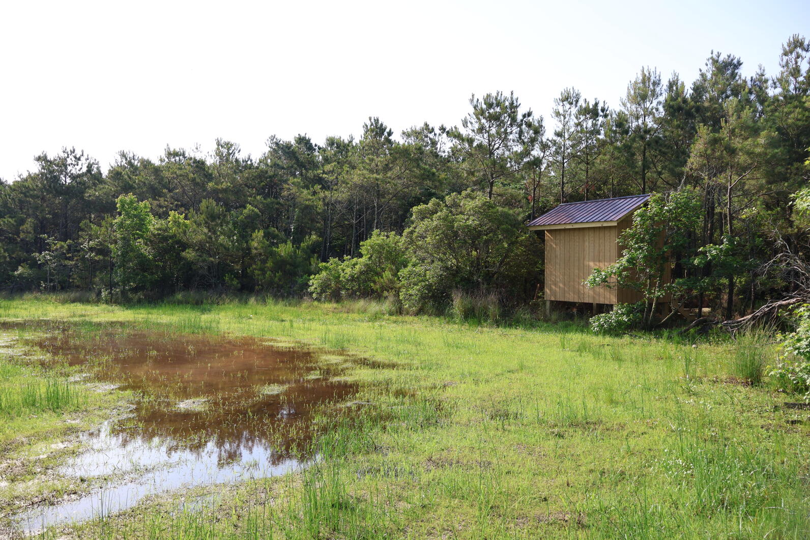 Photo blind (viewing window coming soon). Photo: Ben Graham/Audubon Photo blind (viewing window coming soon). Photo: Ben Graham/Audubon