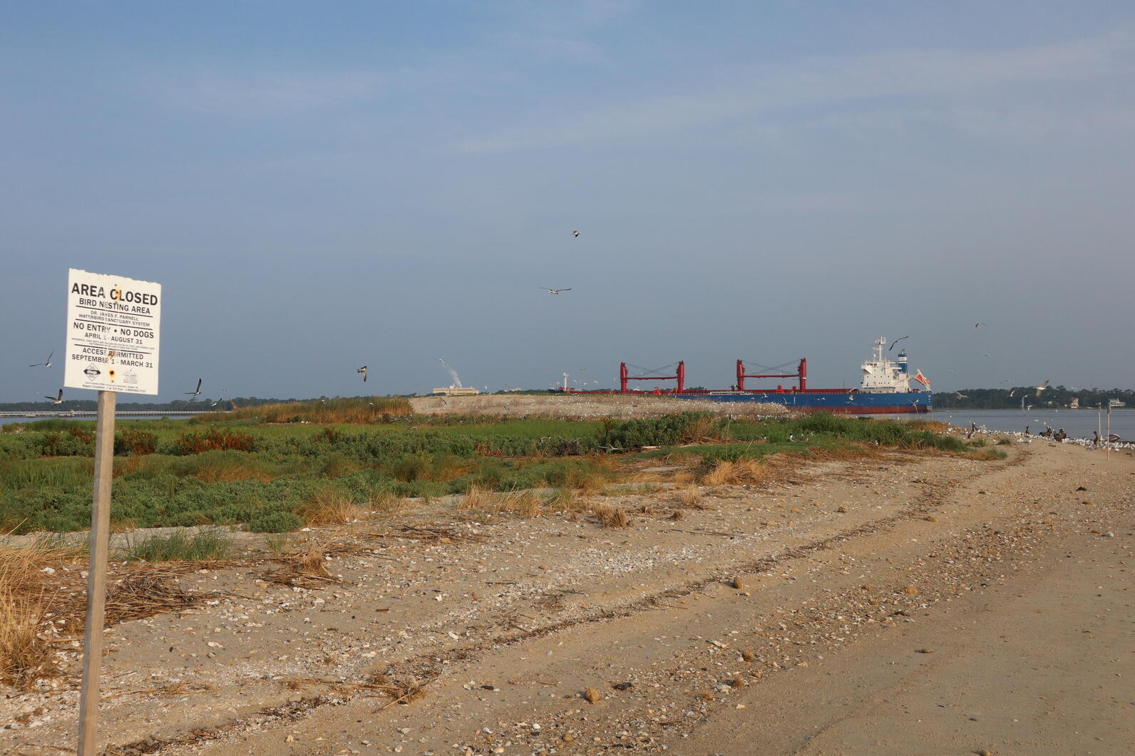 Commercial vessel on the Cape Fear River passing by South Pelican Island with the nesting sanctuary sign in the foreground