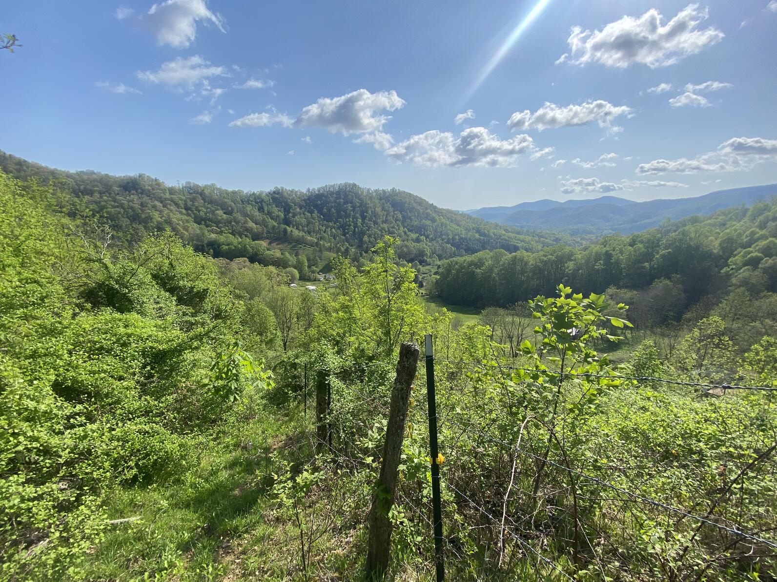 Green mountains and open pasture in the North Carolina mountains.