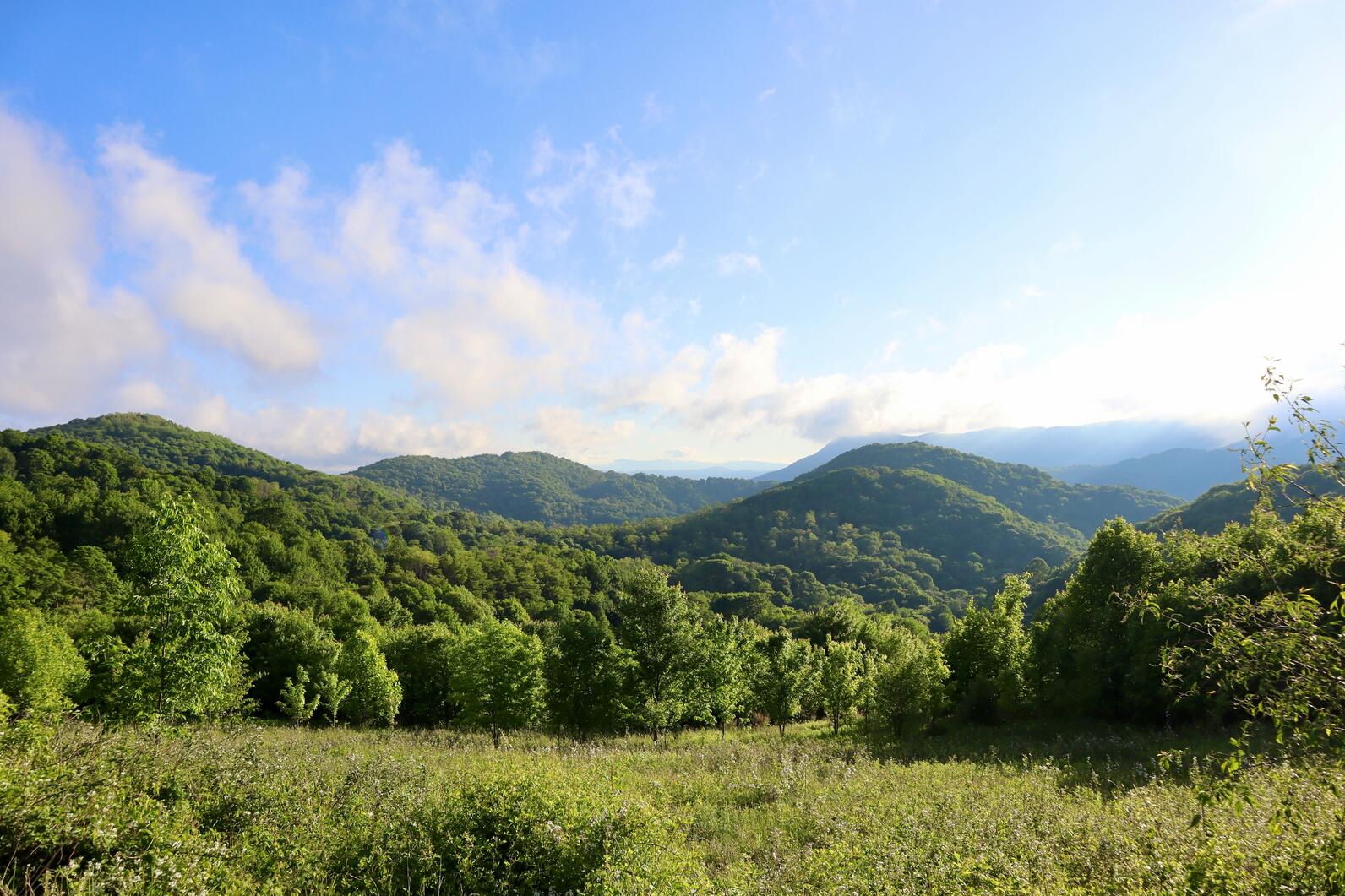 Blue Ridge Mountains. Photo: Brittany Salmons/Audubon Blue Ridge Mountains. Photo: Brittany Salmons/Audubon