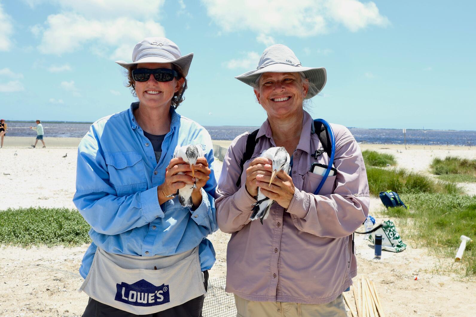 Lindsay (left) and Kate (right) during the tern banding day. Photo: Brittany Salmons Lindsay (left) and Kate (right) during the tern banding day. Photo: Brittany Salmons