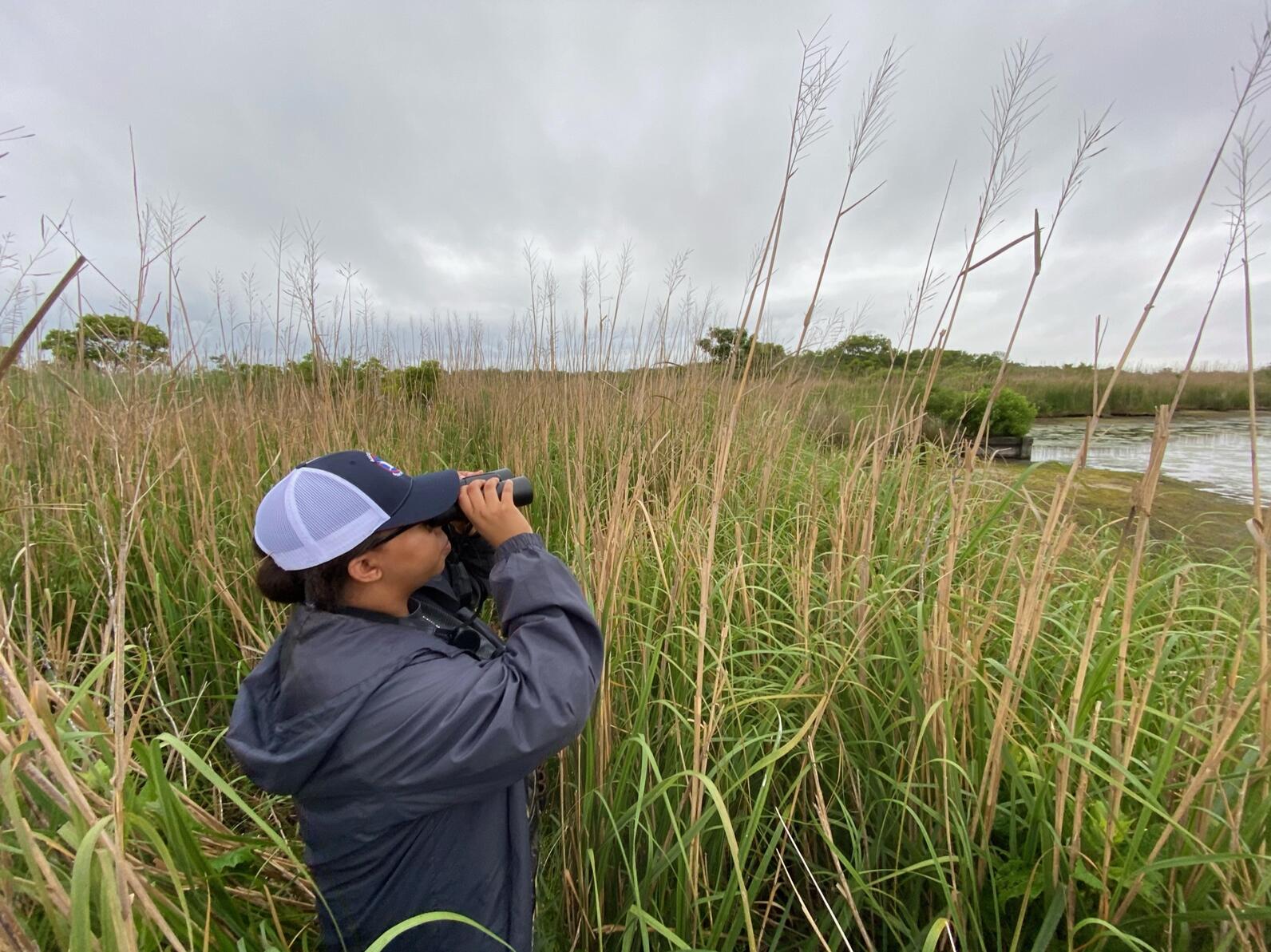 While secretive marsh birds are hard to see, we do try to spot them.